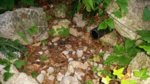 2017-09-29 18.54.37.jpg 2017-09-29 18.54.37.jpg