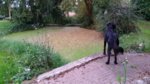 2017-09-29 18.55.36.jpg 2017-09-29 18.55.36.jpg