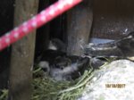 Sid und Fiete IMG_5454.JPG