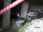 Trixie, Sid und Fiete IMG_5452.JPG