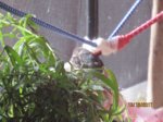 Fiete IMG_5492.JPG
