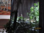 Fussel IMG_5504.JPG