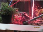 Fiete und Sid IMG_5526.JPG