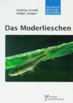 lieschen.jpg lieschen.jpg