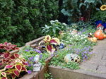 DSCN4941.JPG