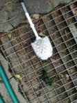 IMG_20171028_110548.jpg