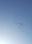 IMG_20171030_101404.jpg