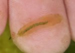 20171111_142754.jpg 20171111_142754.jpg