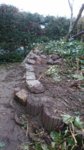 DSC_2681.JPG