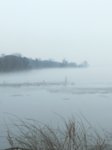 IMG_20180312_102416.jpg