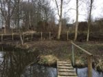 Benjeshecke_25-3-2018 - 1.jpg