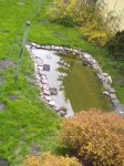 teich20.JPG
