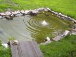 teich40.JPG