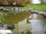 teich50.JPG