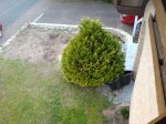 DSC00372.JPG