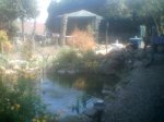 PhotoTeich006.jpg