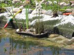 IMG_0631.JPG