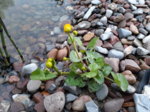 20180414_192121.jpg