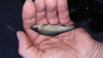 20180417_190239.jpg 20180417_190239.jpg