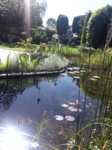 20180506_103327.jpg