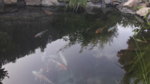 20180511_083047.jpg