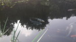 20180511_083054.jpg