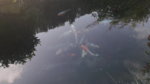 20180511_083058.jpg