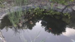 20180511_083208.jpg