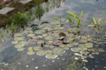 DSC03080.jpg