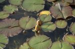 DSC03084.jpg