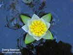 K1600_DSC04578.JPG