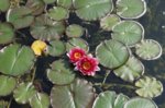 DSC03087.jpg