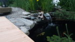 IMG-20180513-WA0010.jpeg