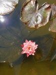 20180513_115752.jpg
