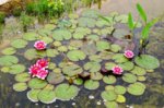 DSC03115.jpg