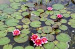 DSC03116.jpg