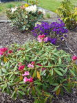20180511_150426.jpg