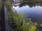 20180515_201501.jpg