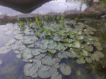 20180515_201607.jpg