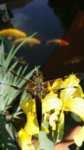 20180521_122104.jpg
