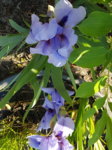 20180521_170125.jpg