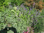 IMG_2598.JPG IMG_2598.JPG