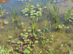 IMG_2573.JPG