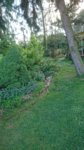 DSC_3804.JPG DSC_3804.JPG