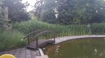 20180527_211524.jpg 20180527_211524.jpg