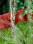 K1600_DSC05233.JPG K1600_DSC05233.JPG