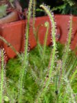 K1600_DSC05235.JPG K1600_DSC05235.JPG