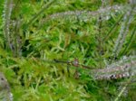 K1600_DSC05232.JPG K1600_DSC05232.JPG