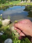 20180611_112121.jpg 20180611_112121.jpg