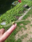 20180611_112328.jpg 20180611_112328.jpg